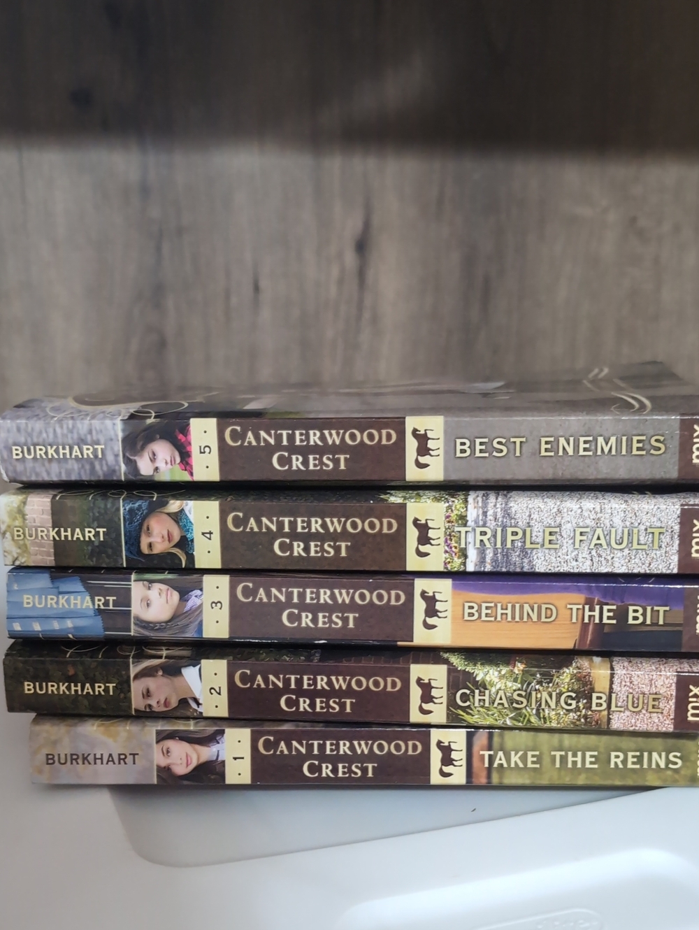 Kids YA Canterwood Crest Horse Equestrian Books 1-5 SET OF 5
